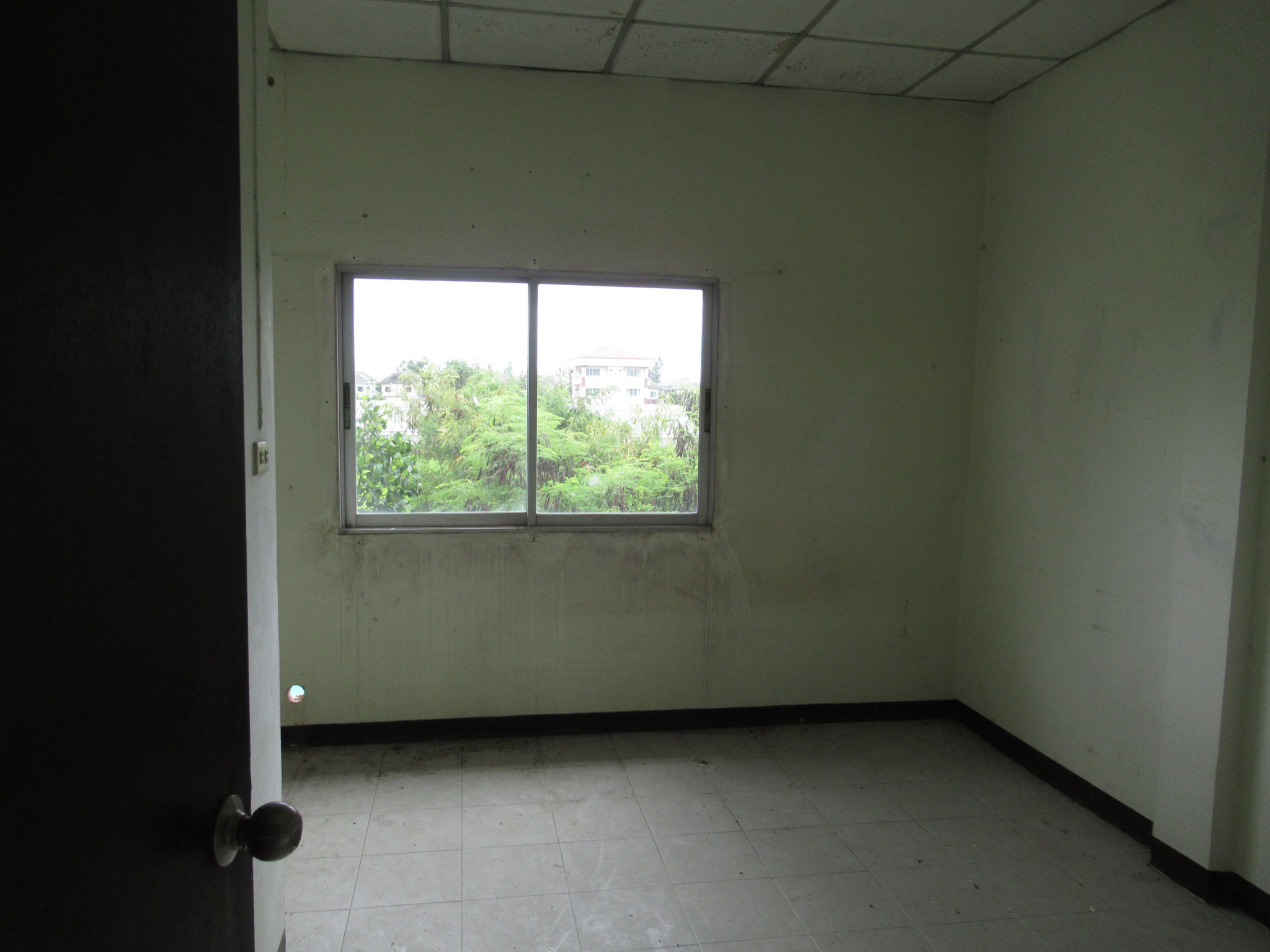 516674c9-IMG_5350.JPG