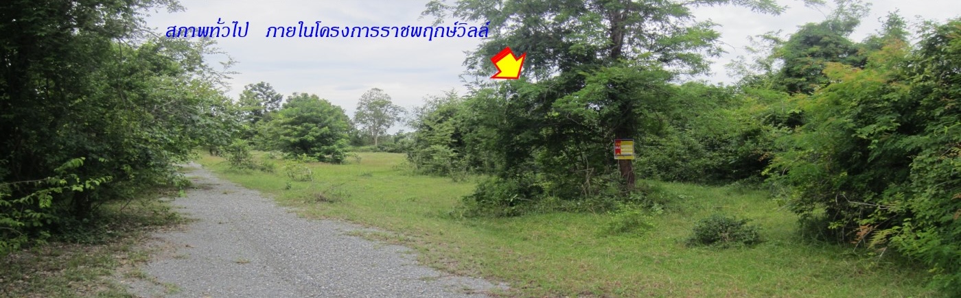 0e375720-56796-1.jpg