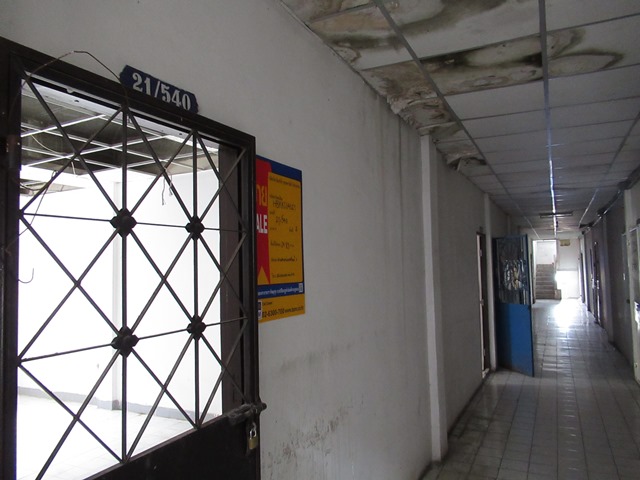 IMG_9942.JPG
