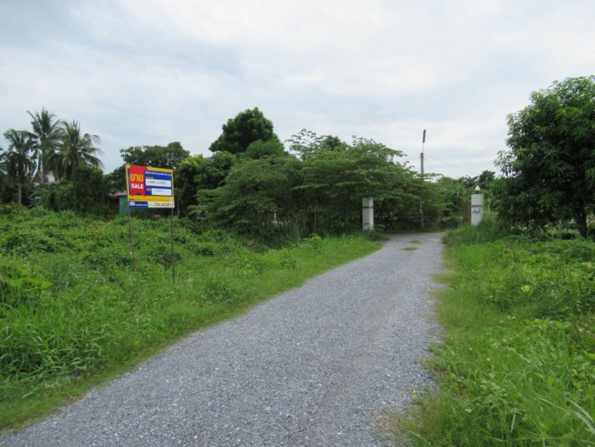 e7209e57-11.jpg