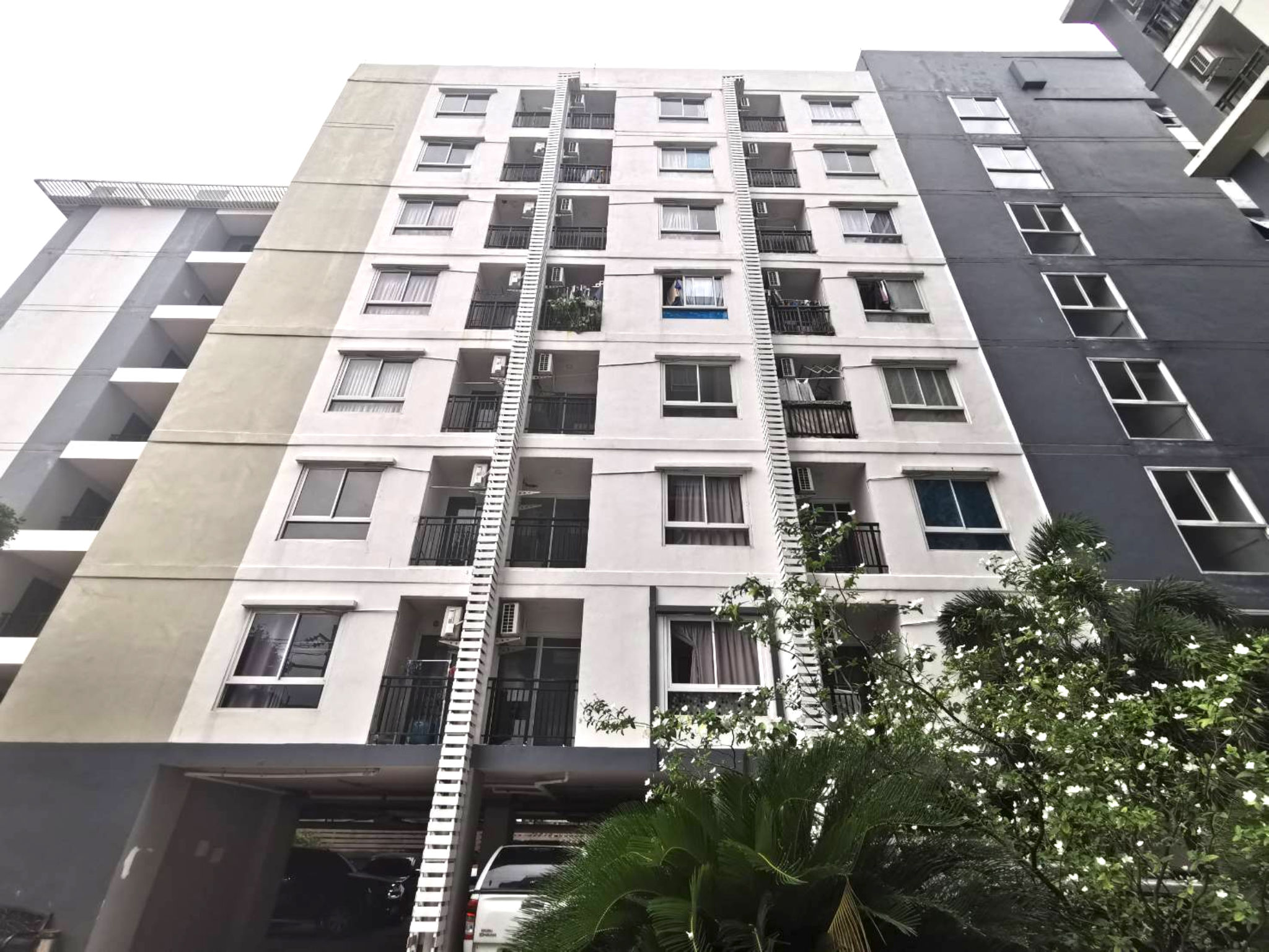 image (15).png