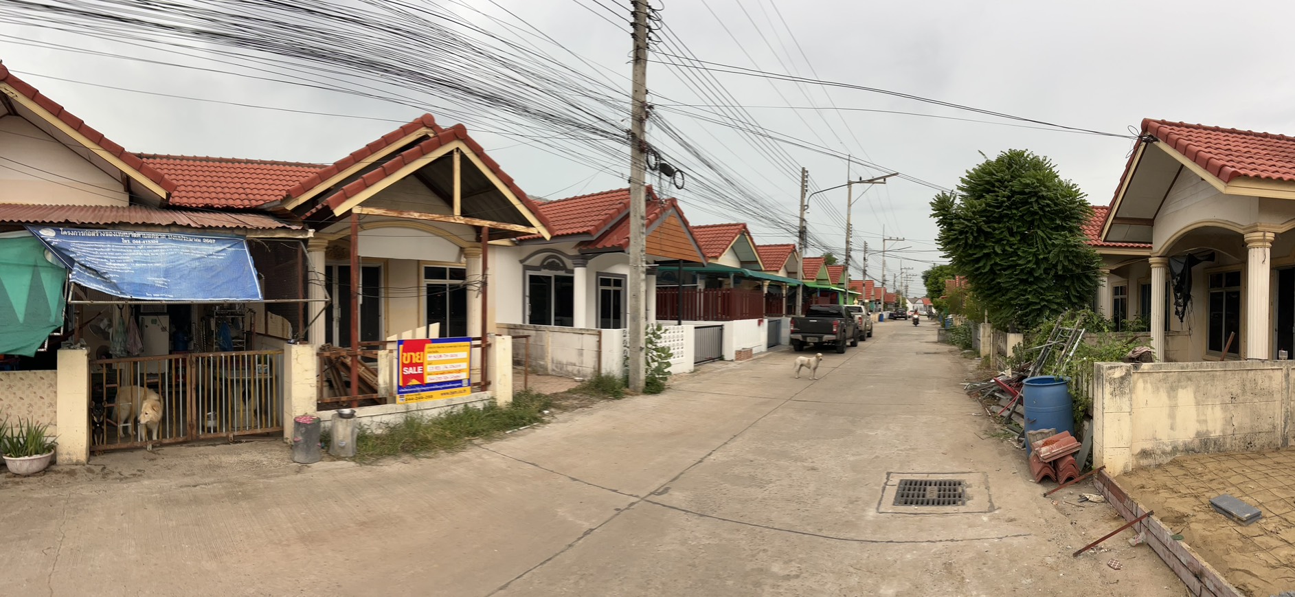 S__82190348_0.jpg