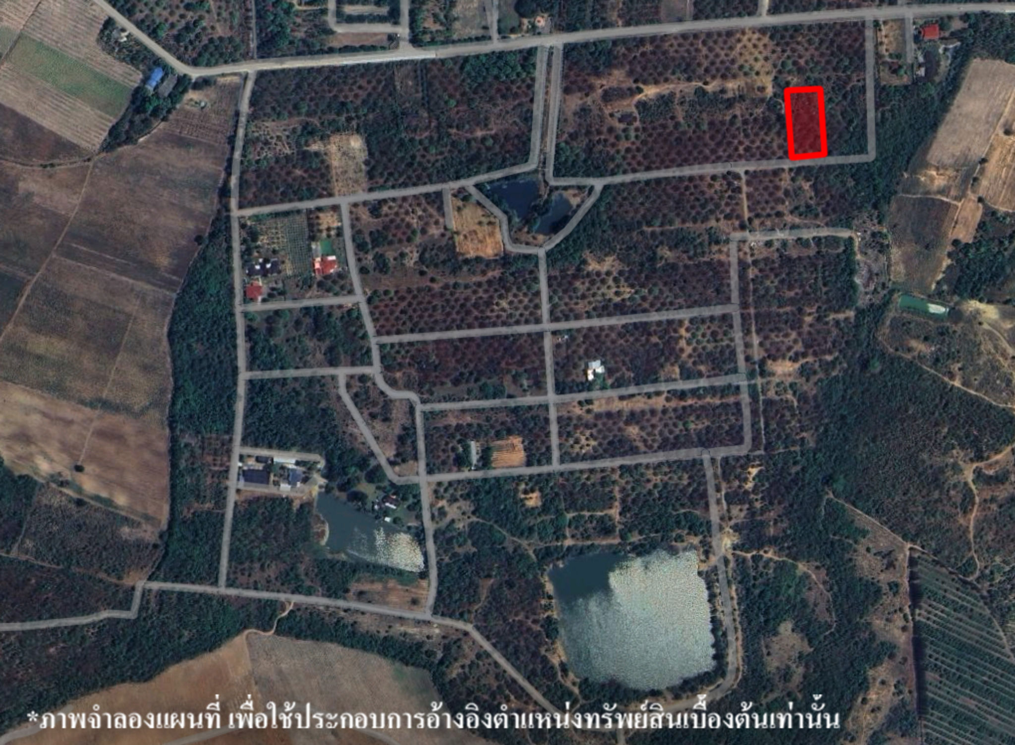 image (542).png