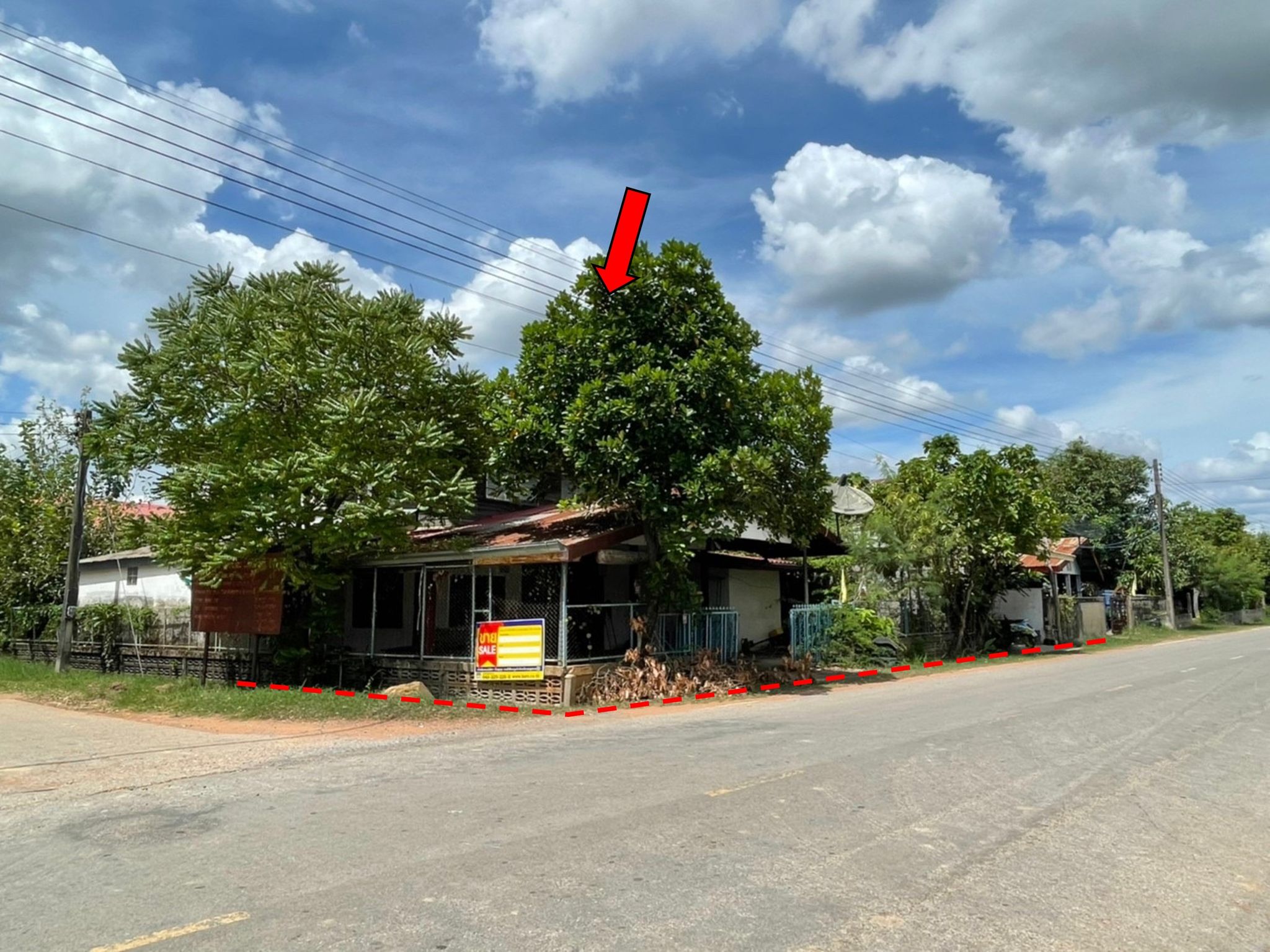 หน้าทรัพย์ 11768.jpg