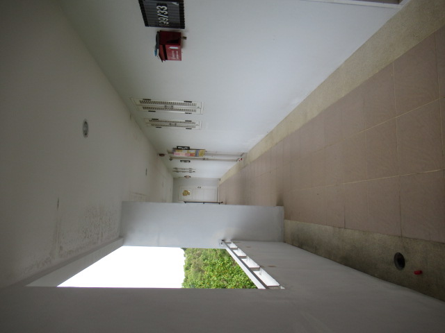 IMG_9596.JPG