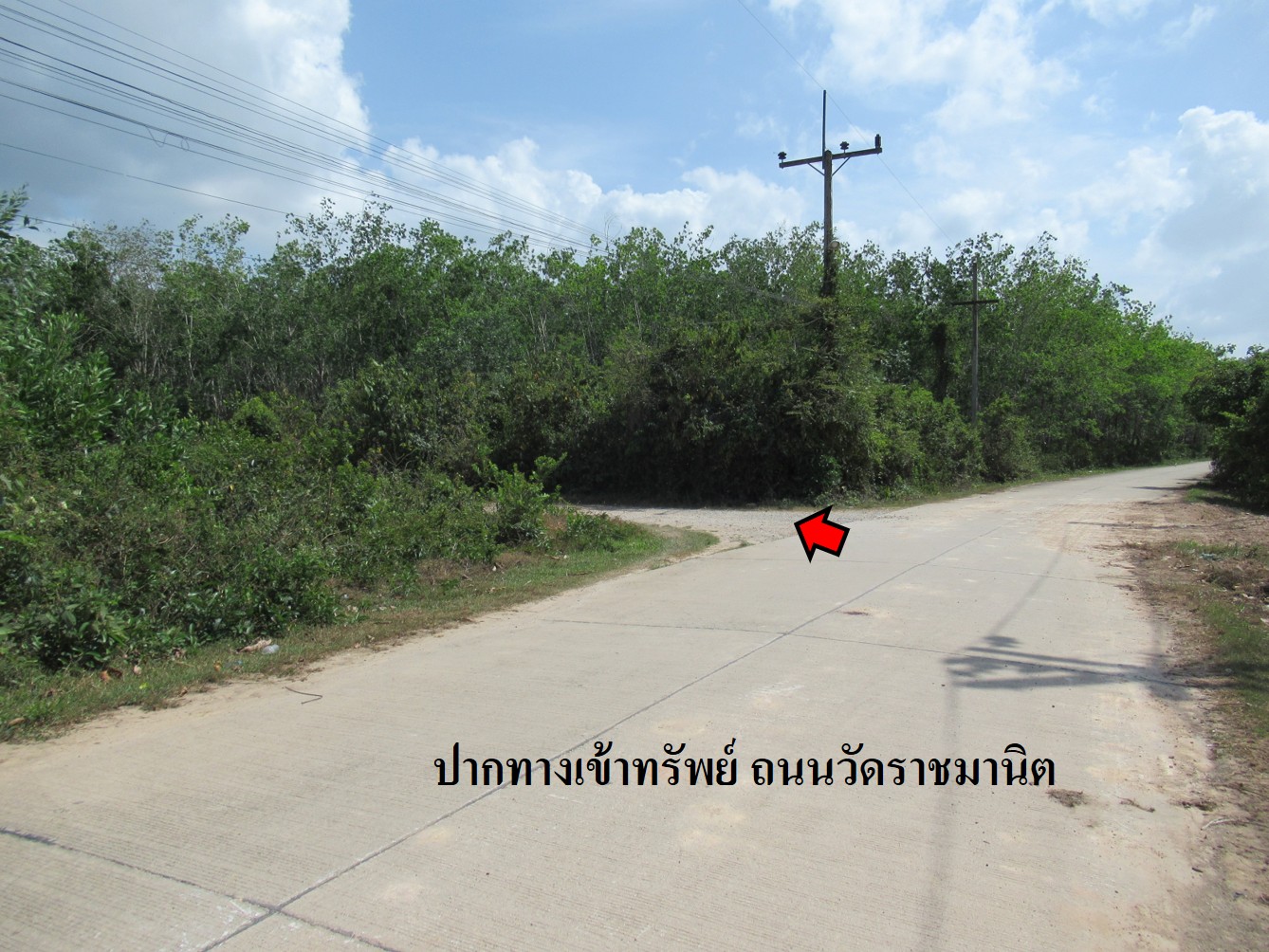 รูà¸à¸ าภ3.jpg