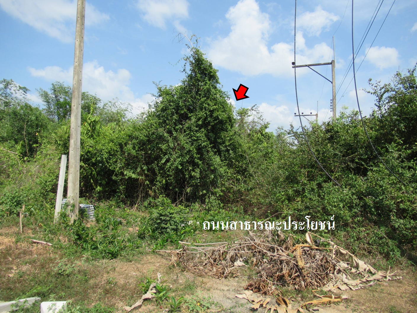 รูà¸à¸ าภ5.jpg