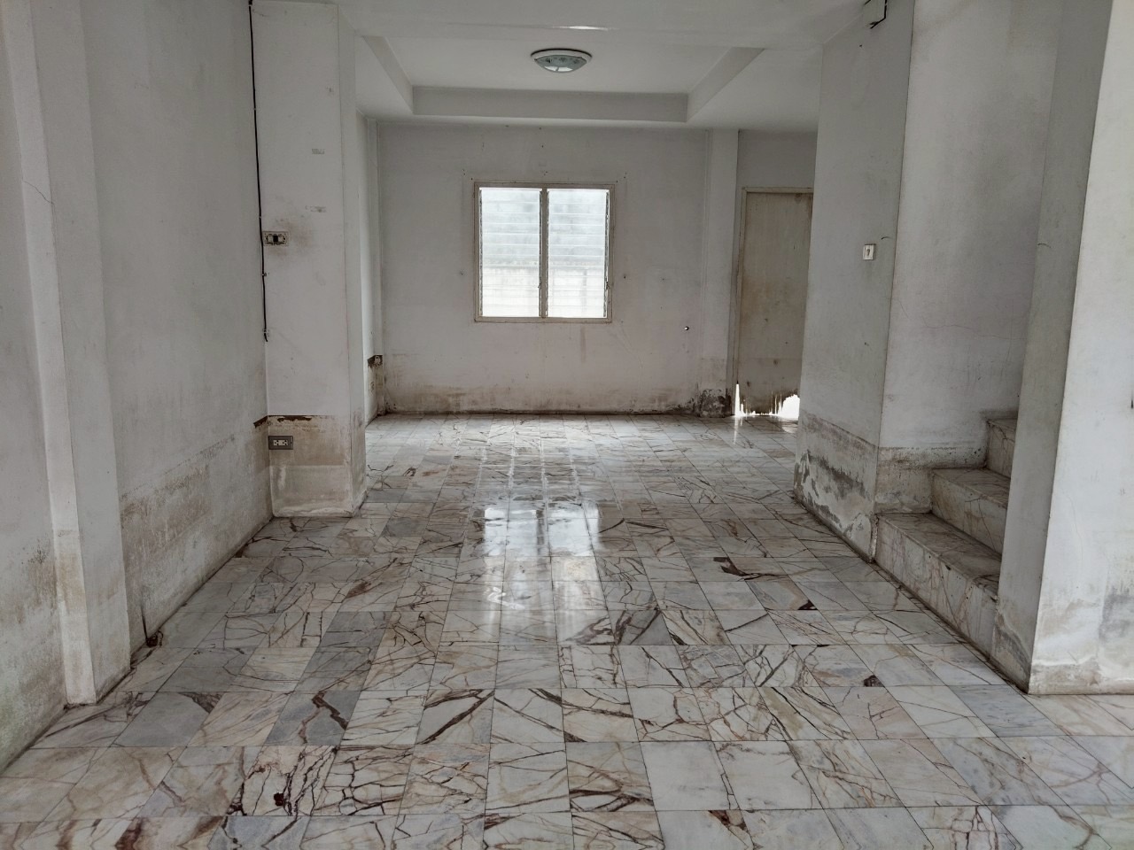 S__5243180.jpg