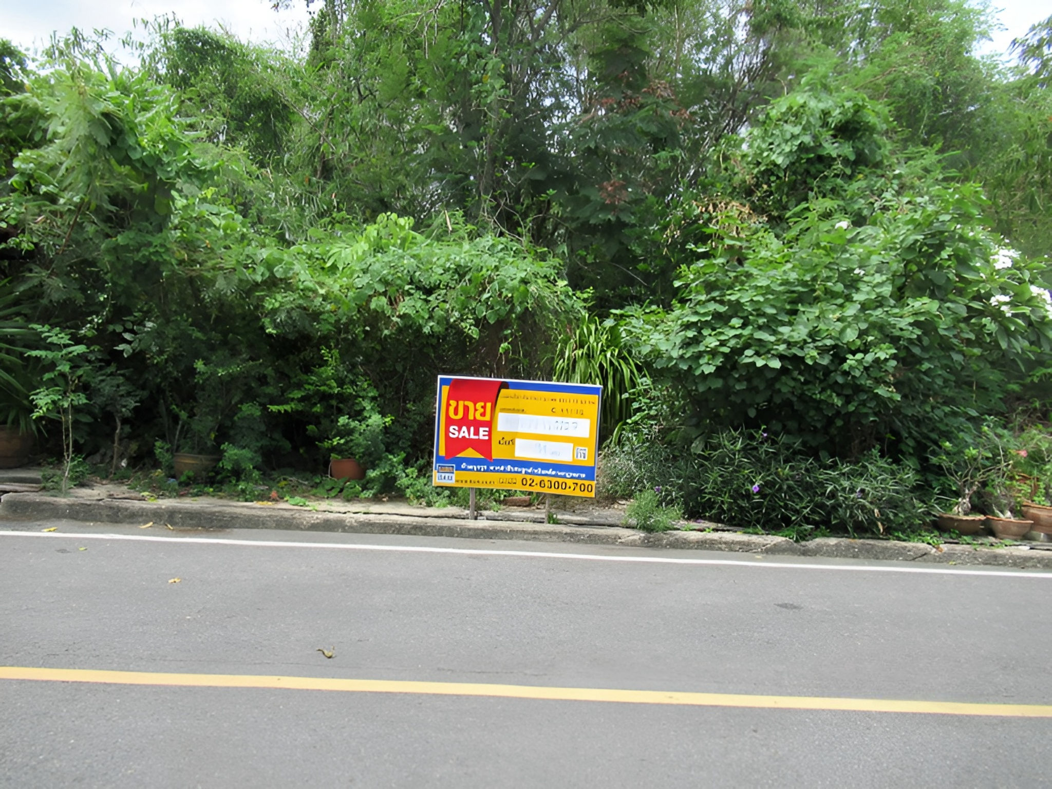 ที่ดิน บางรักพัฒนา บางบัวทอง นนทบุรี