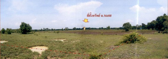 56408.jpg
