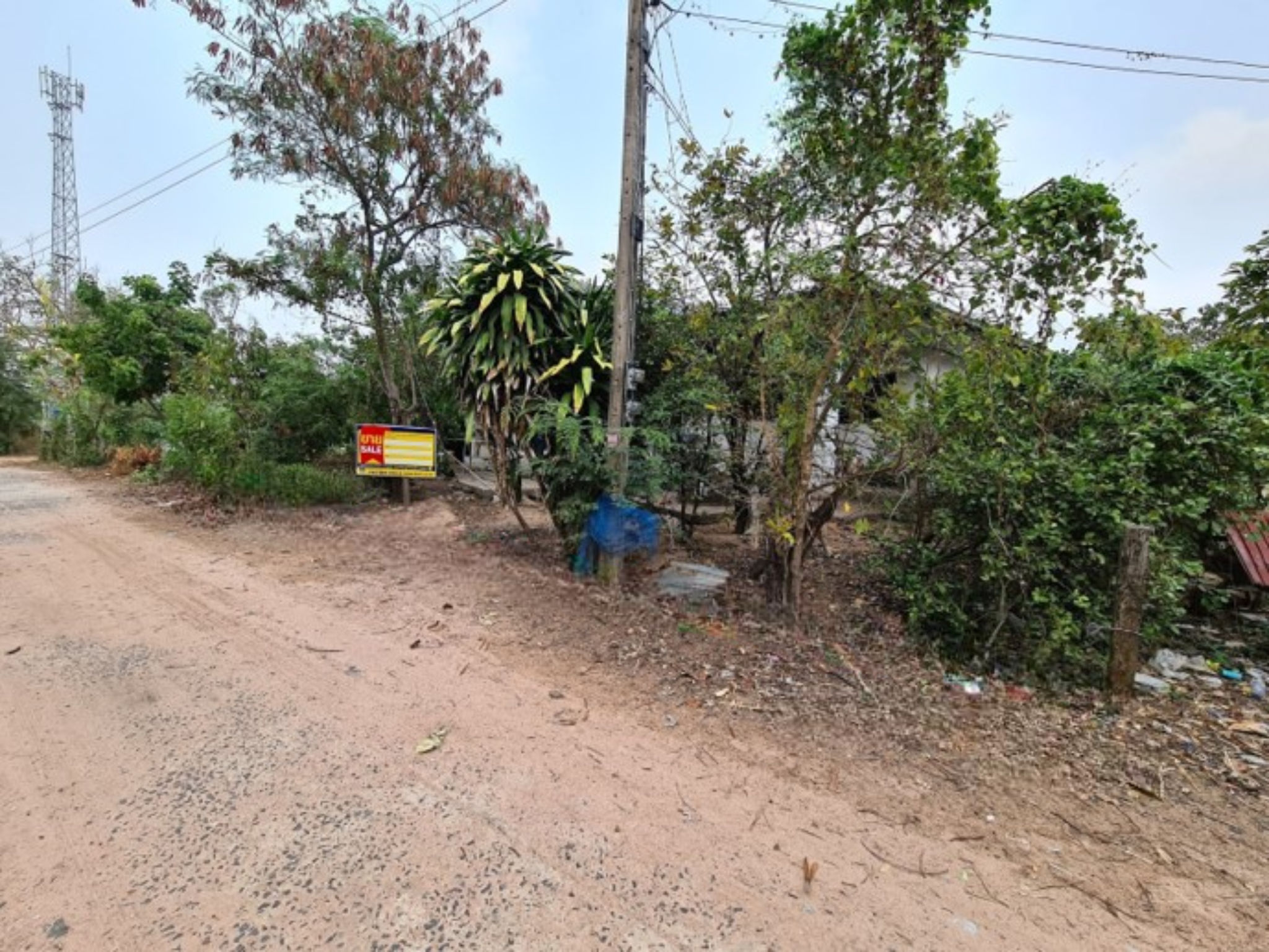 image (2).png
