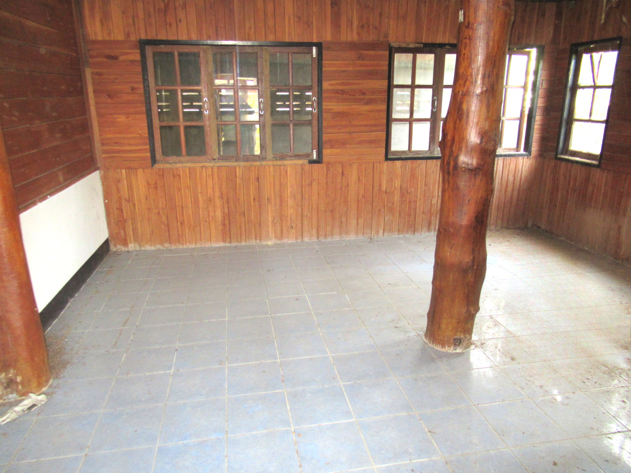image (14).png