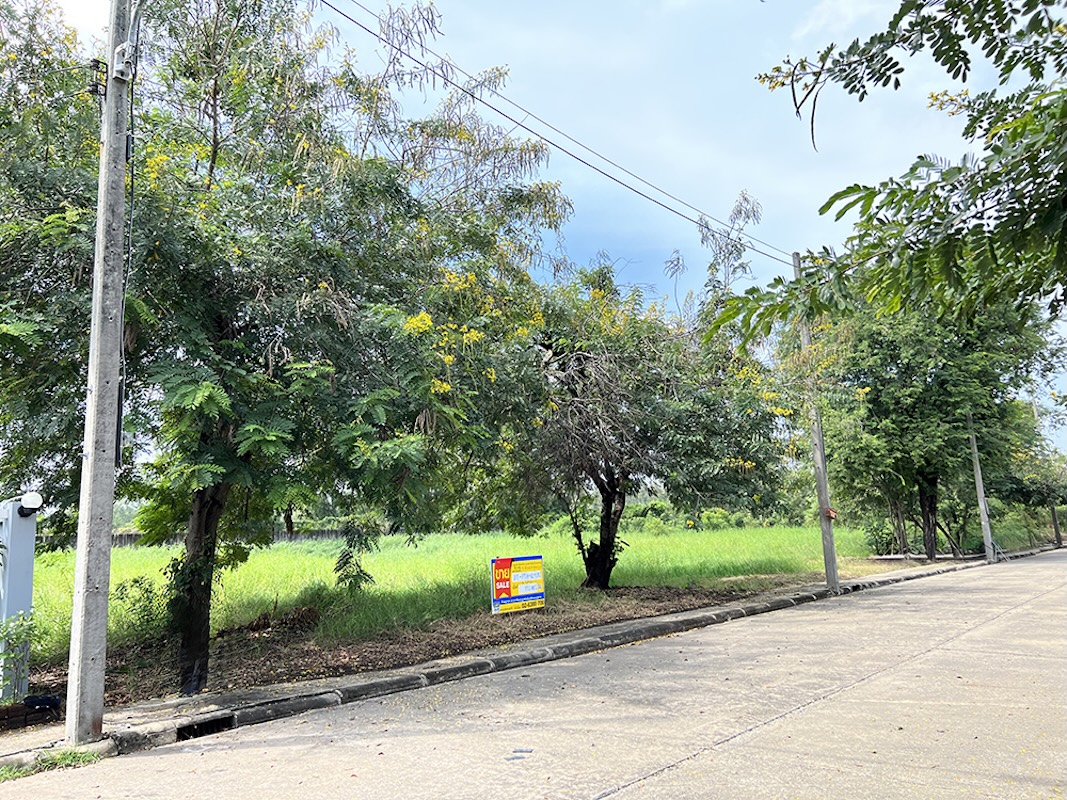 ที่ดิน ท้ายเกาะ สามโคก ปทุมธานี