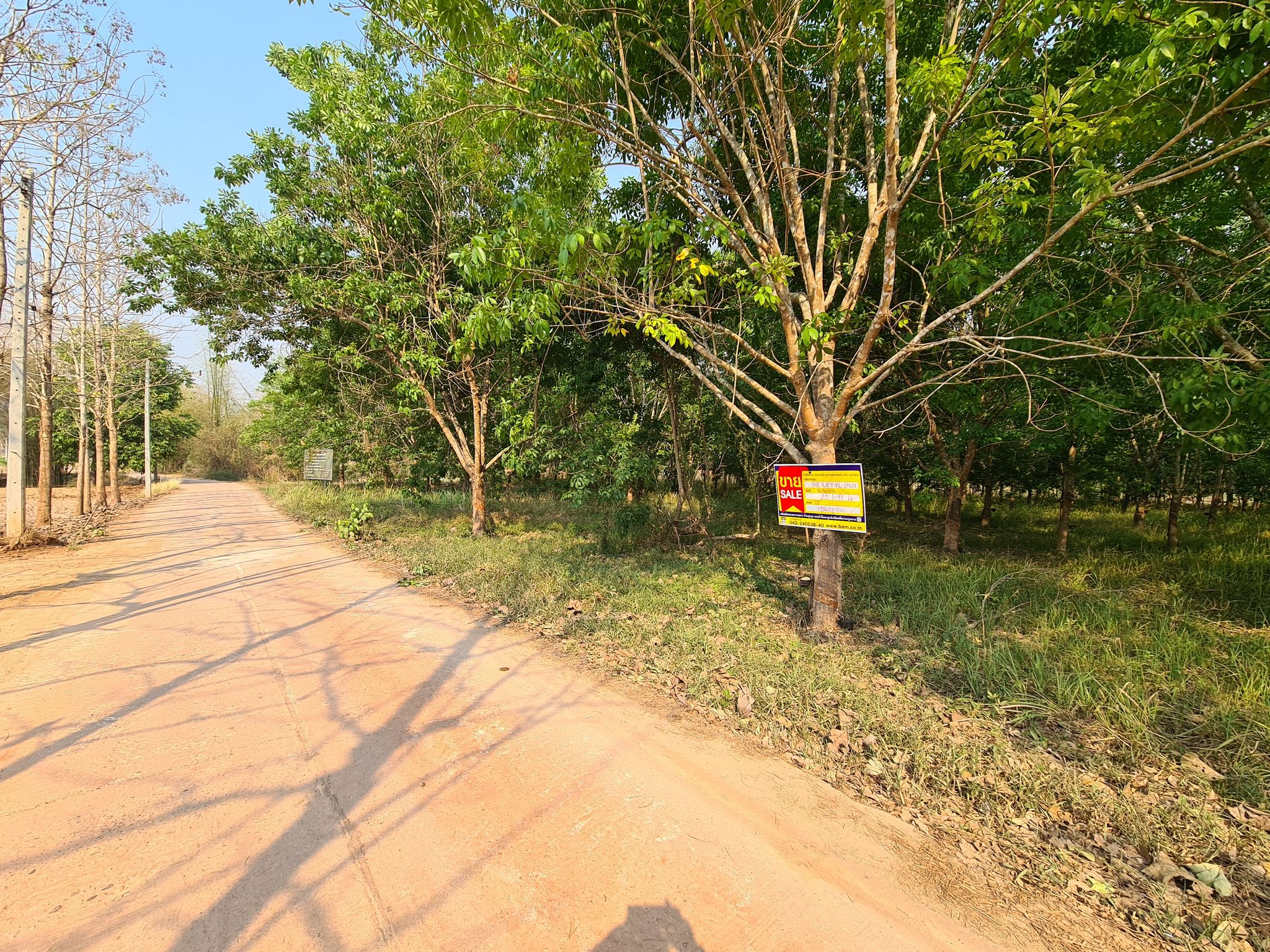 20230404_153242.jpg