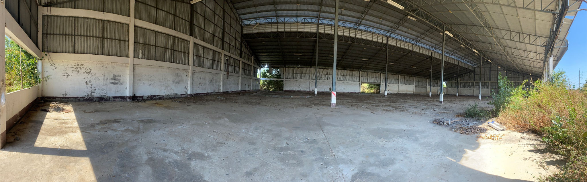 Picture5.jpg