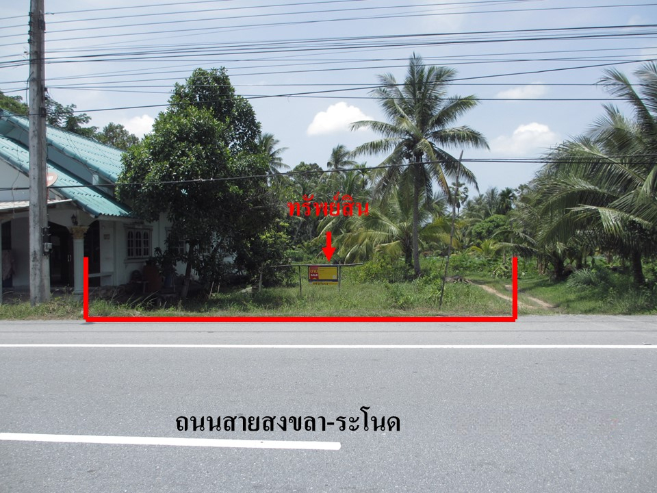 b2112d4d-สไลด์5.jpg