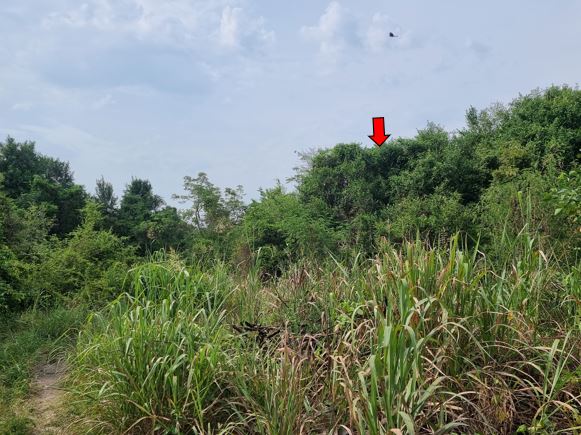 à¸£à¸¹à¸1.JPG