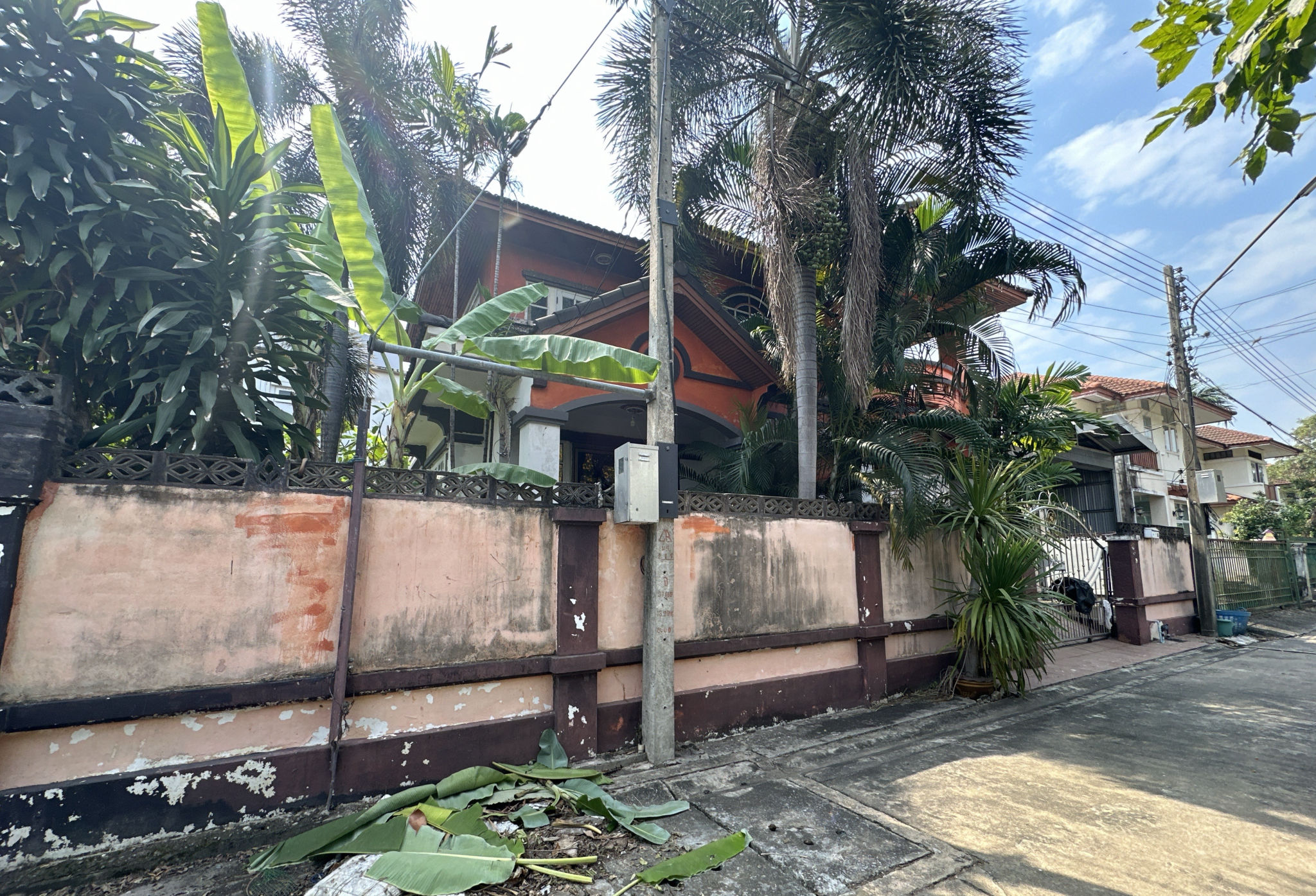 TC_06275.JPG