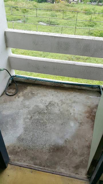 full_20190923103833.jpg