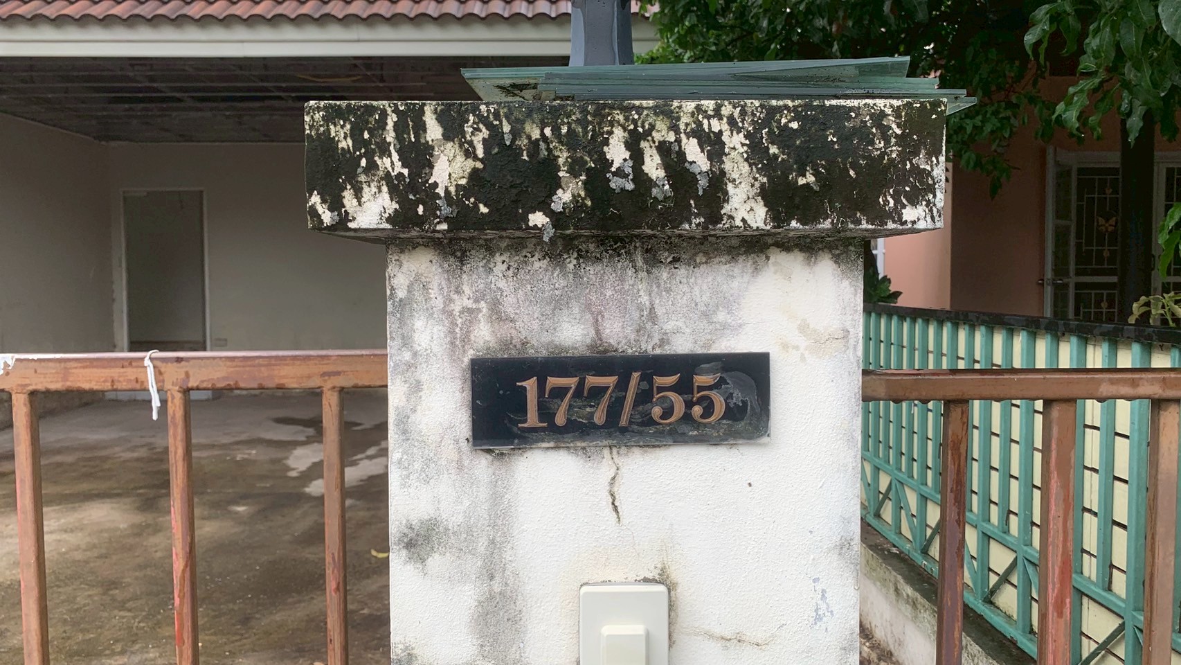 1752035984569.jpg