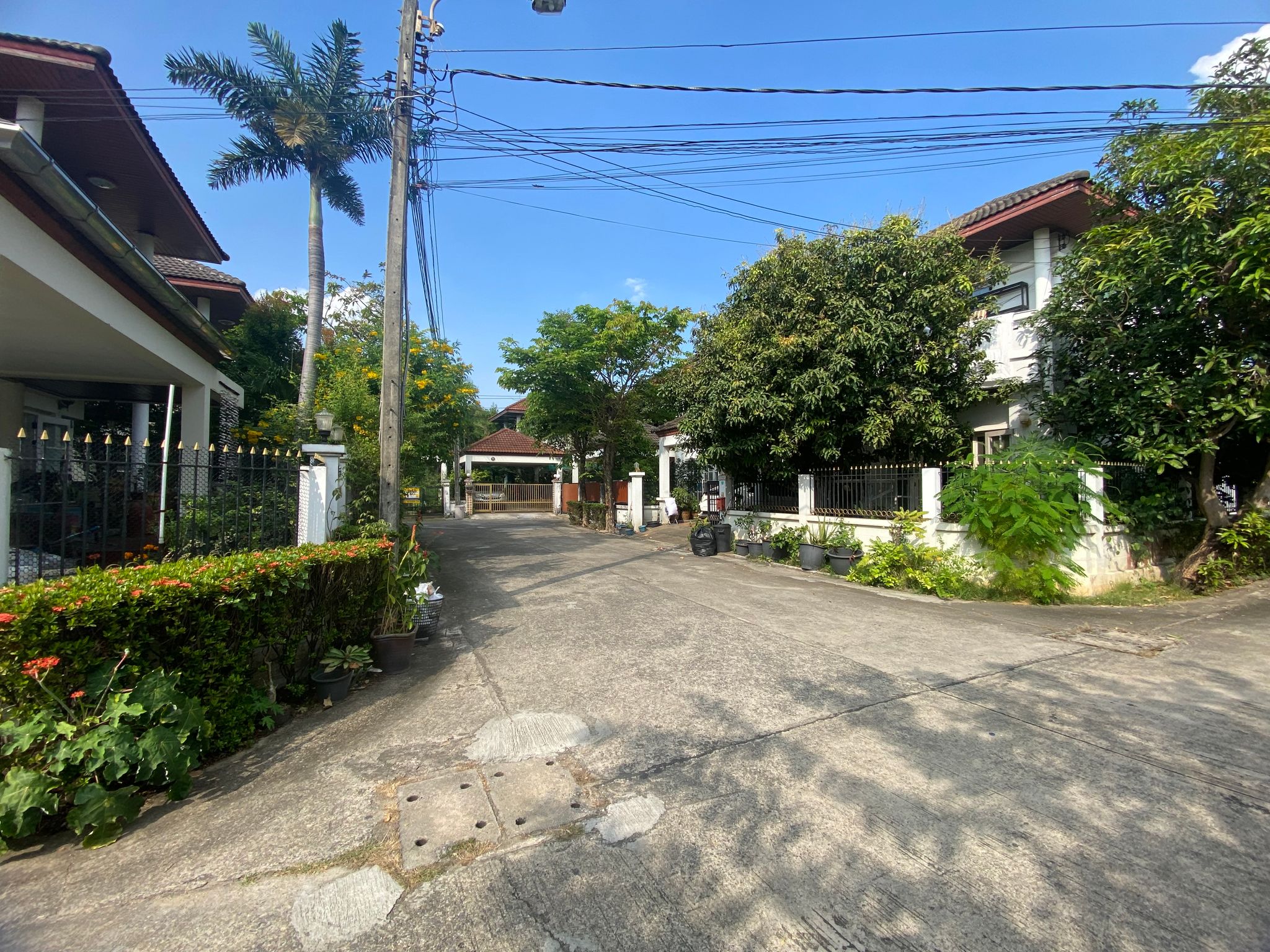 DNBKKSH0125 (22).JPG