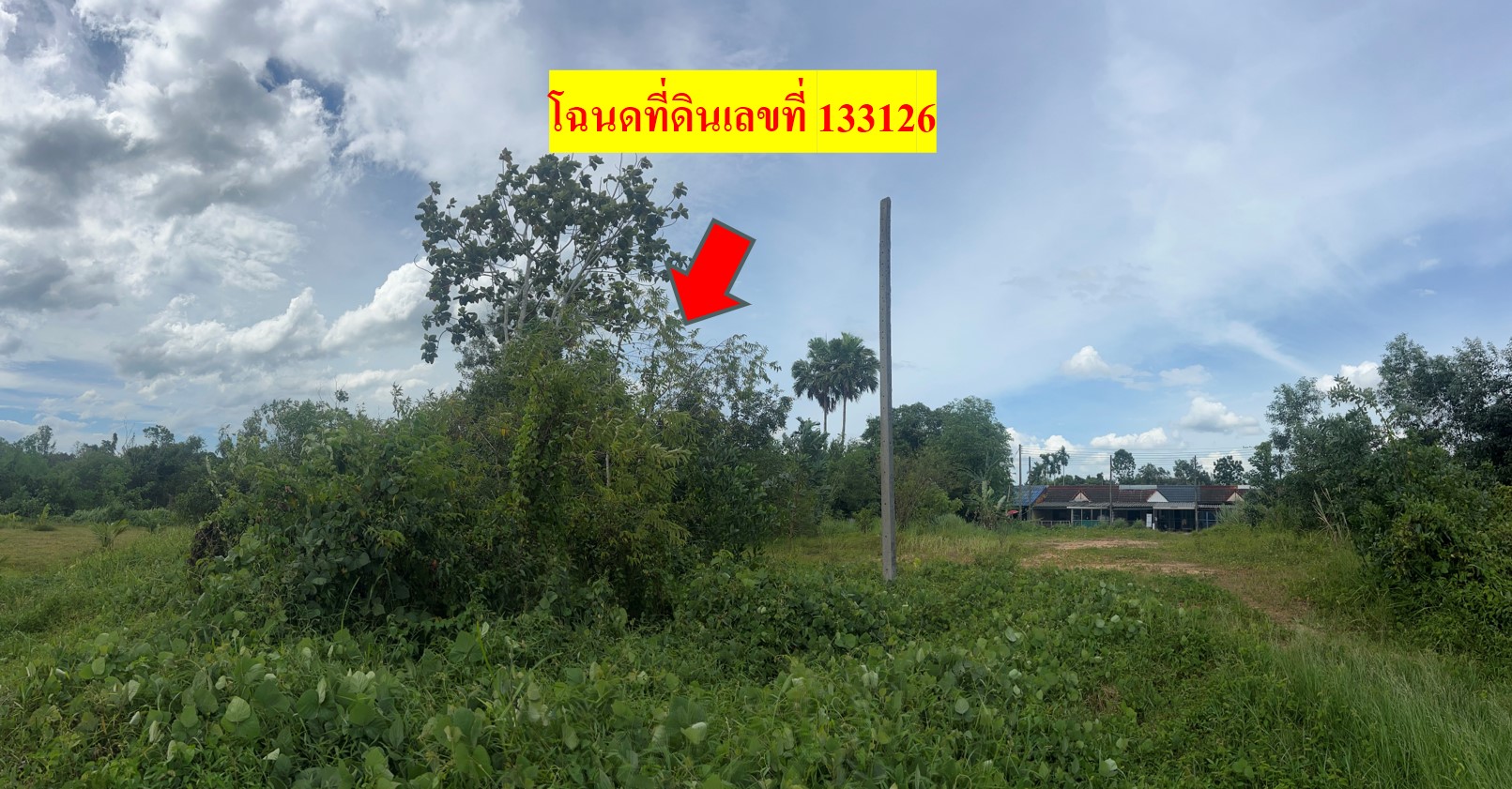 à¸£à¸¹à¸à¸ à¸²à¸7.jpg