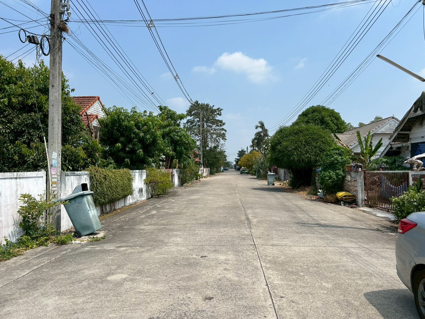 S__61030436.jpg