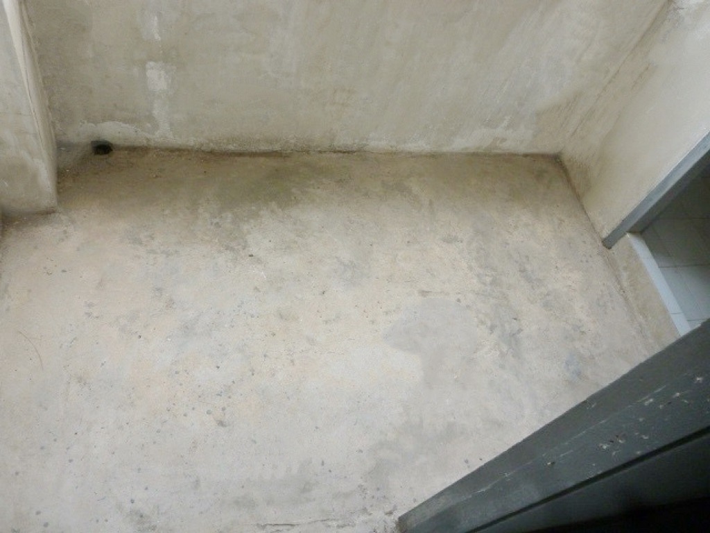 S__55820346.jpg