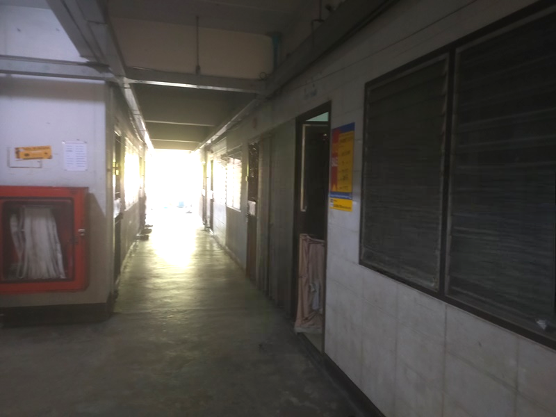 image (12).png