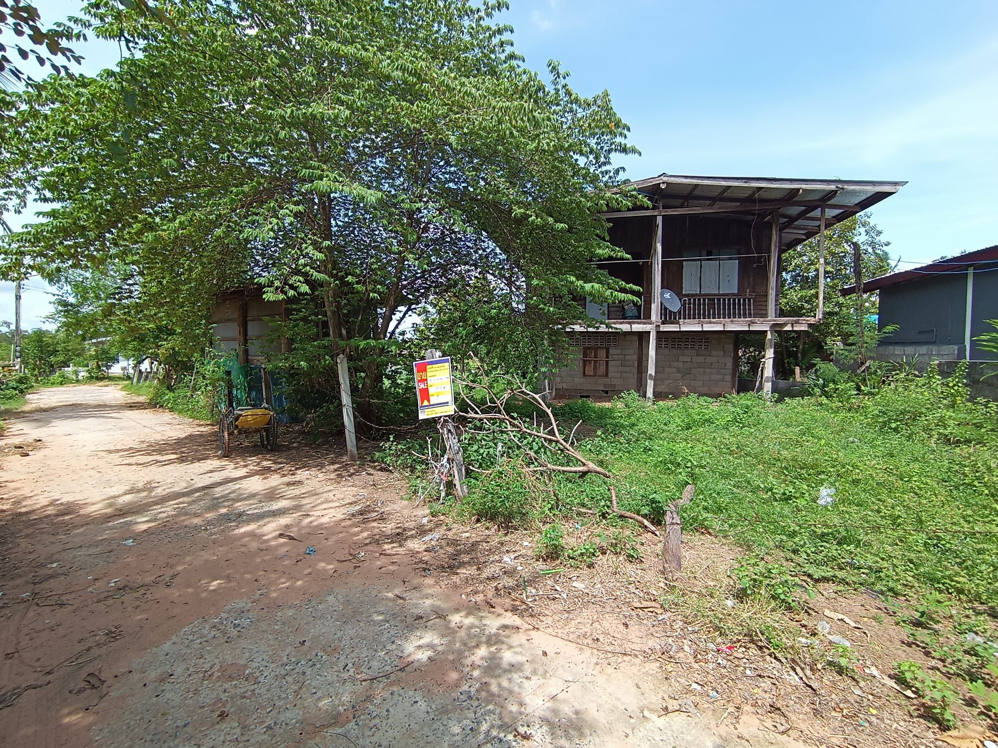 ทรัพย์ 1.jpg
