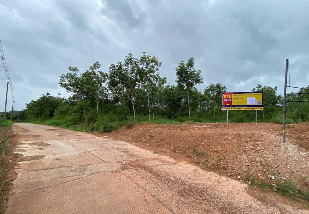 สไลด์11.JPG
