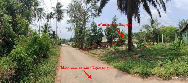 ที่ดินเปล่า ทับปริก 3.jpg