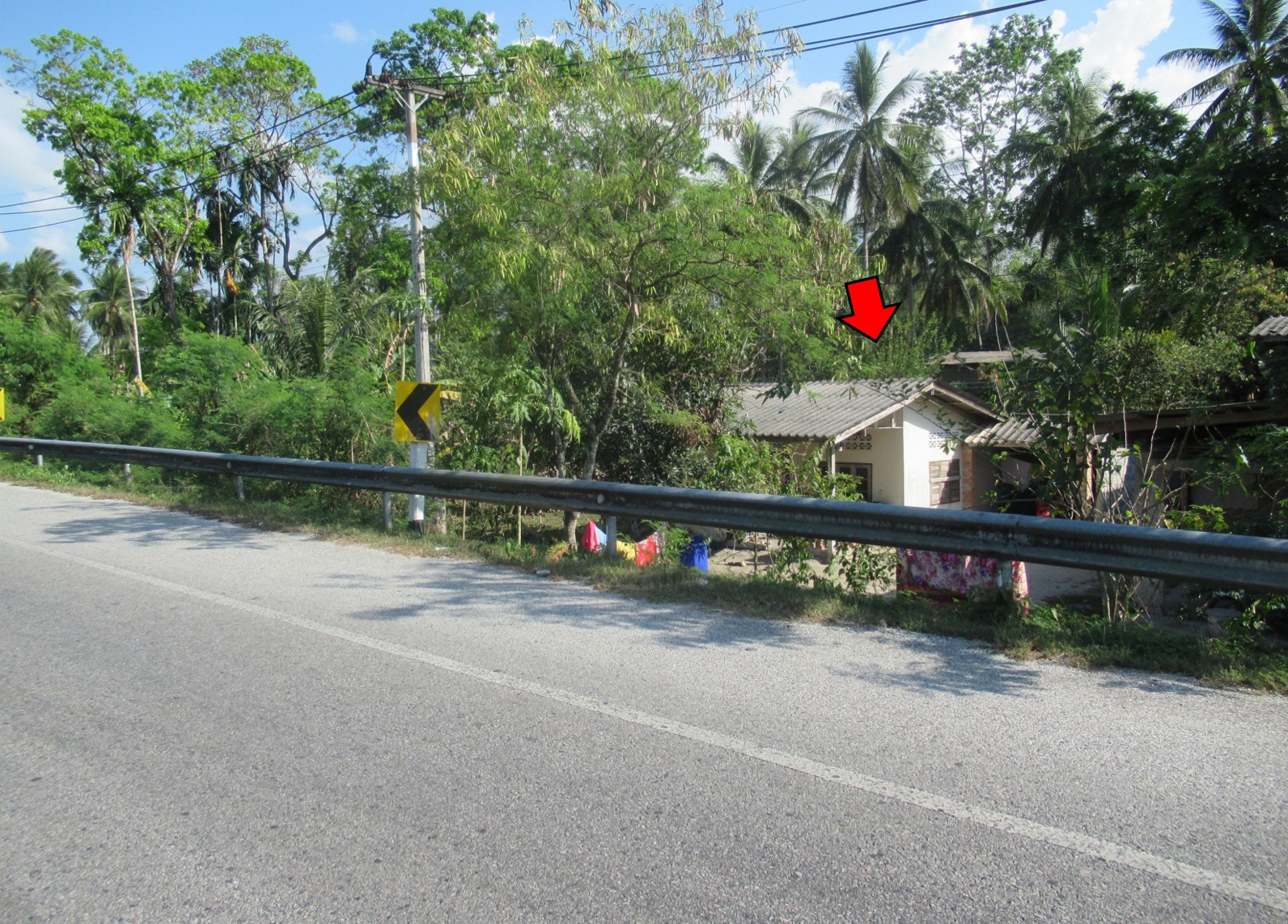 รูà¸à¸ าภ1.jpg