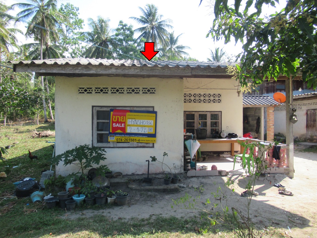 รูà¸à¸ าภ2.jpg