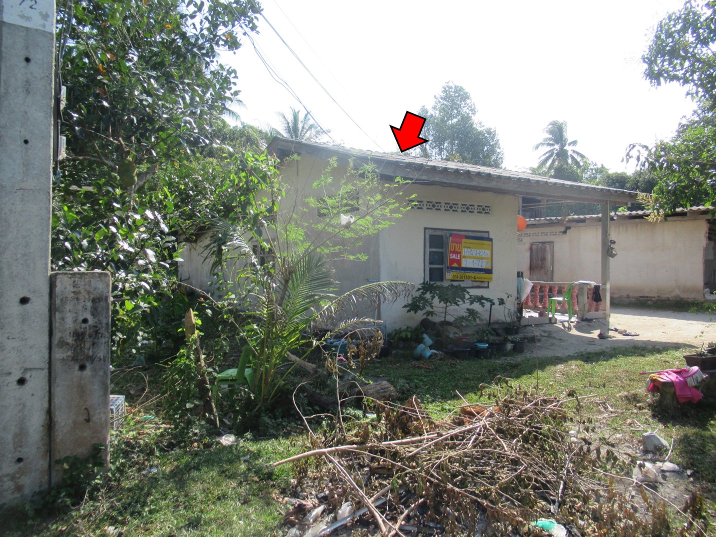 รูà¸à¸ าภ3.jpg