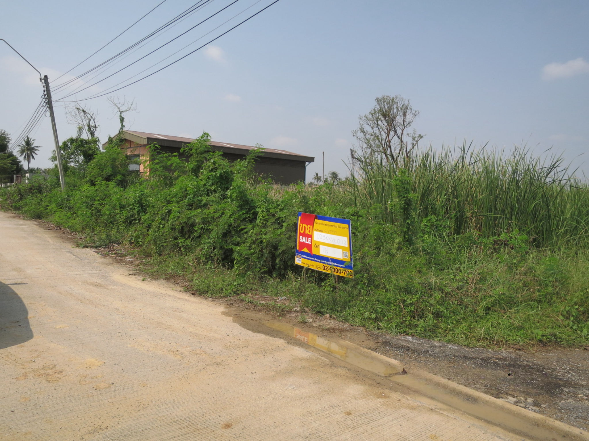 ที่ดิน หนองแขม หนองแขม กรุงเทพมหานคร