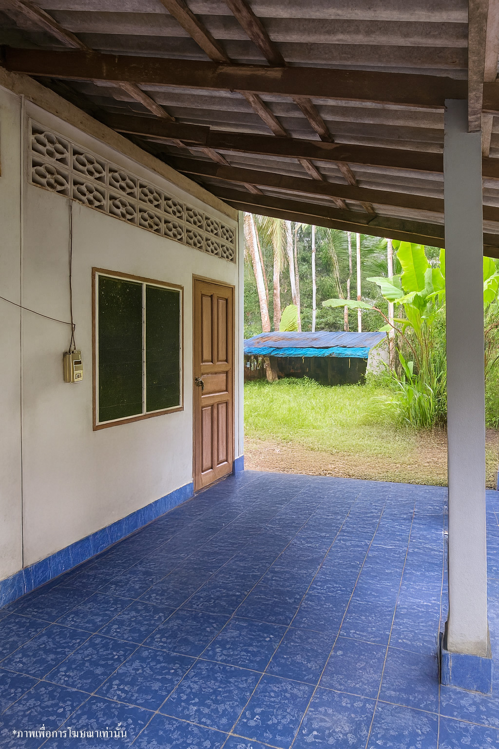 172ea6d2-141678-8.jpg