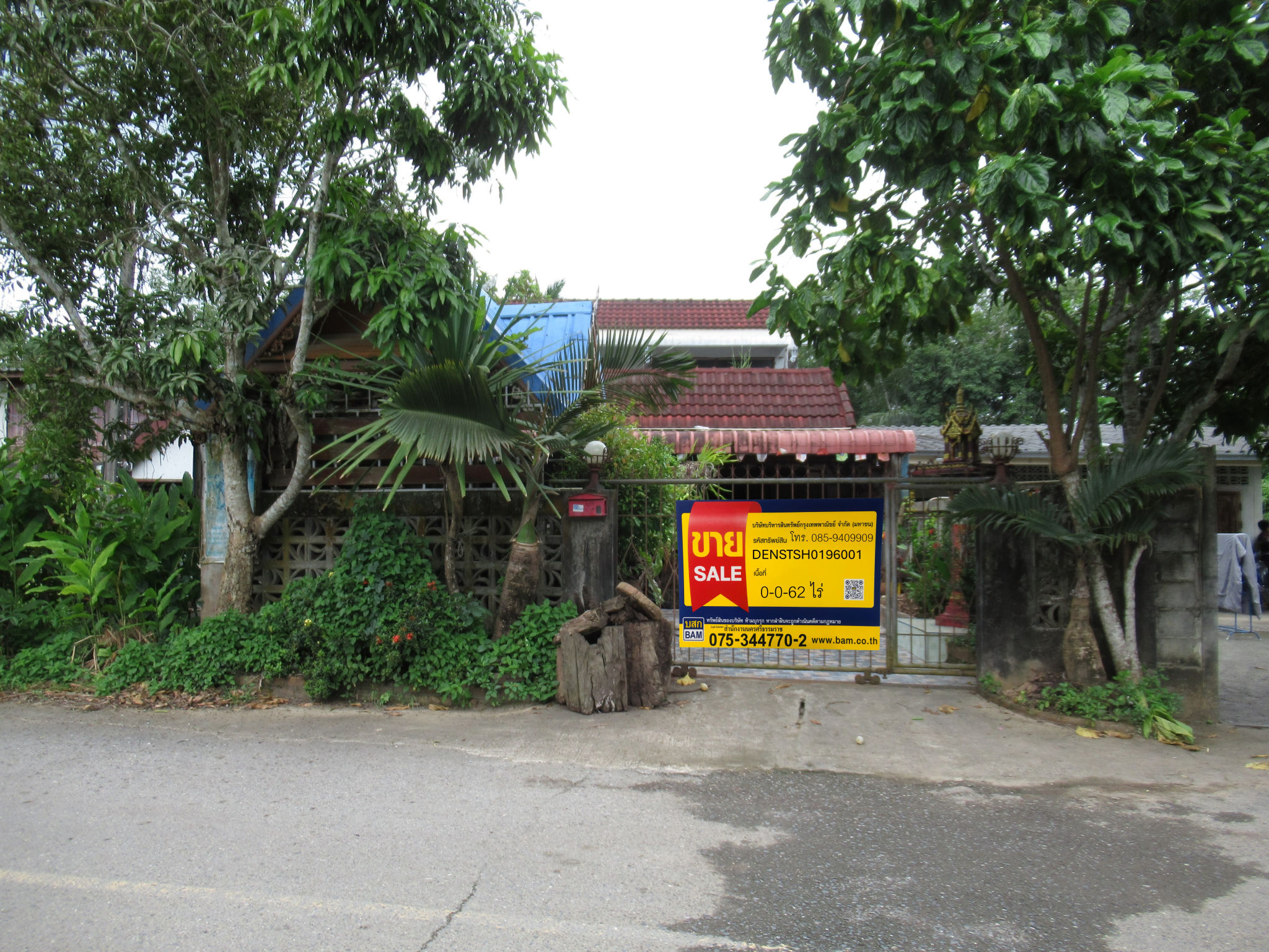 DENSTSH0196001.jpg