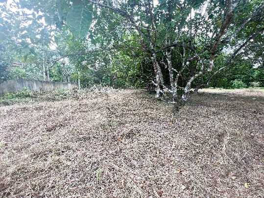 3f27135e-α╕úα╕╣α╕¢α╕áα╕▓α╕₧7.jpg
