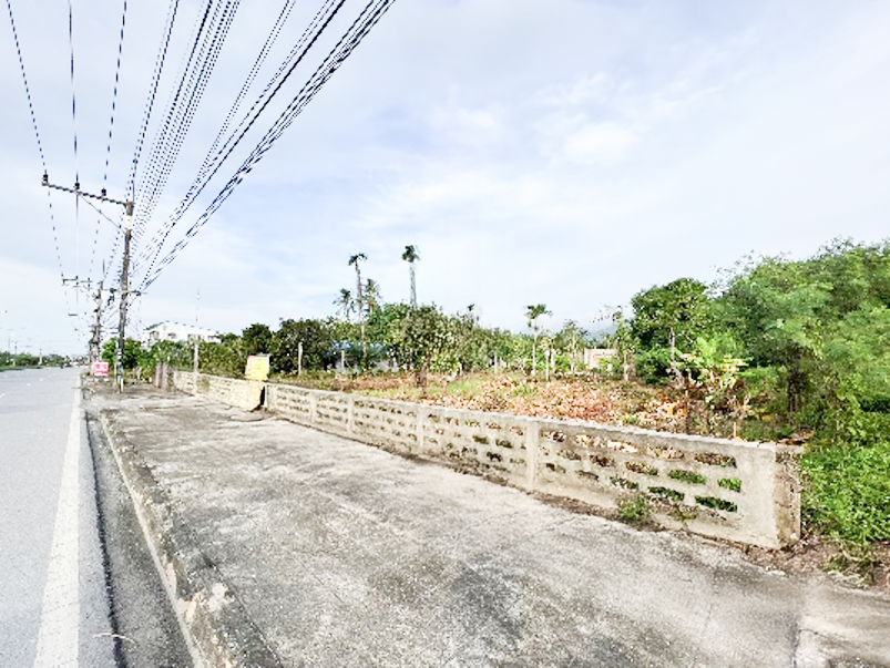 cc32518f-α╕úα╕╣α╕¢α╕áα╕▓α╕₧3.png