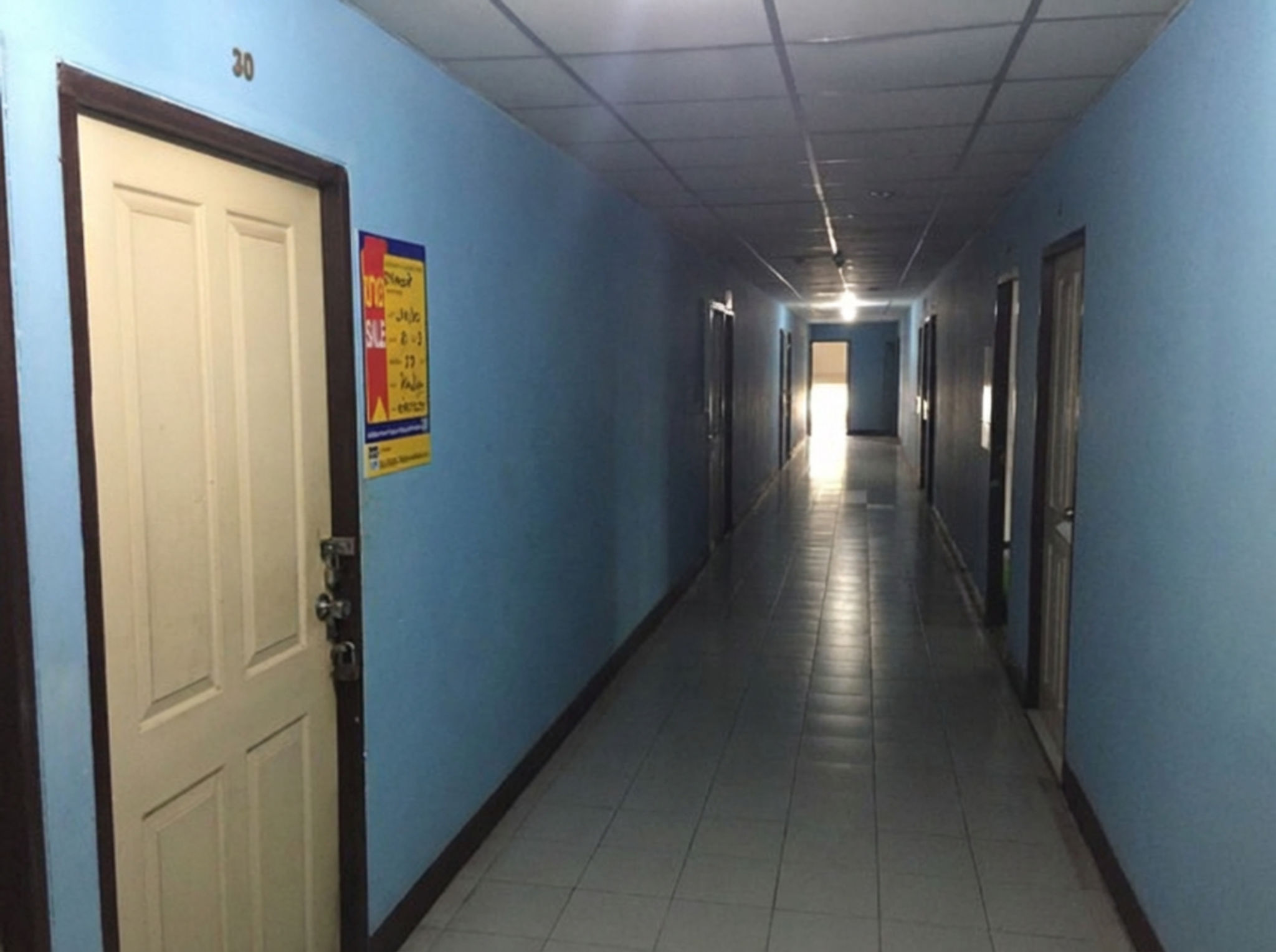 freepik__-__91088.png