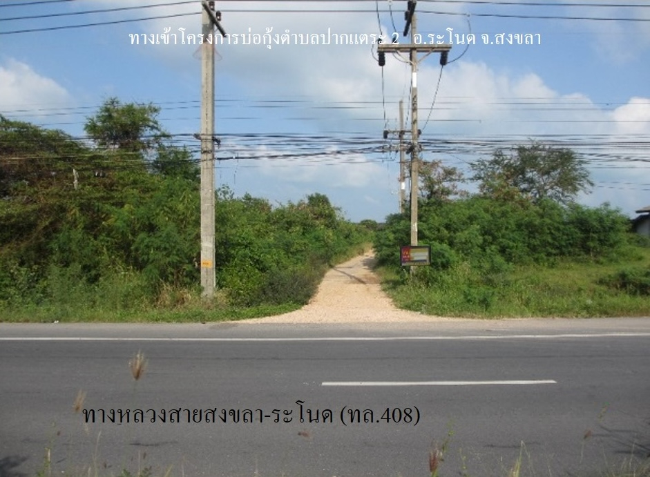 ที่ดิน ปากแตระ  สงขลา