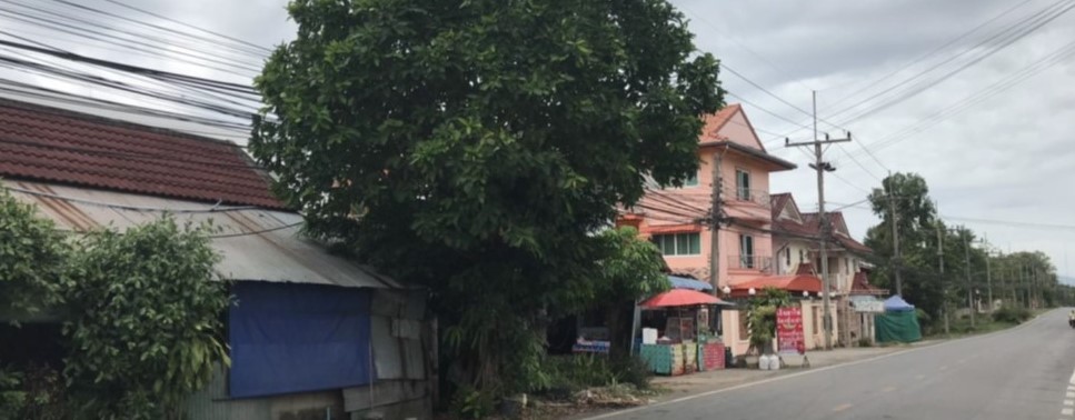 สไลด์7.JPG