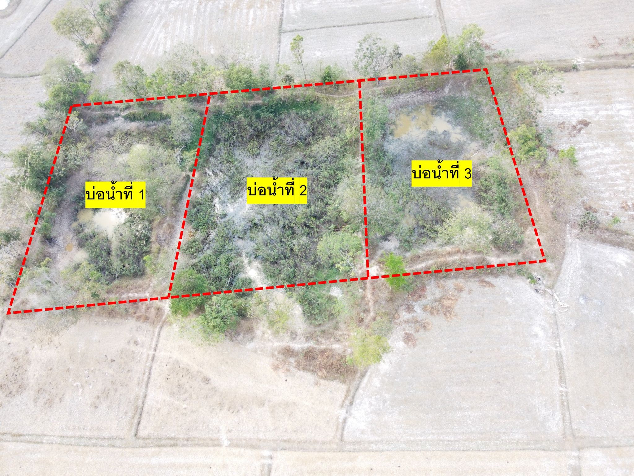รูปภาพ12.jpg