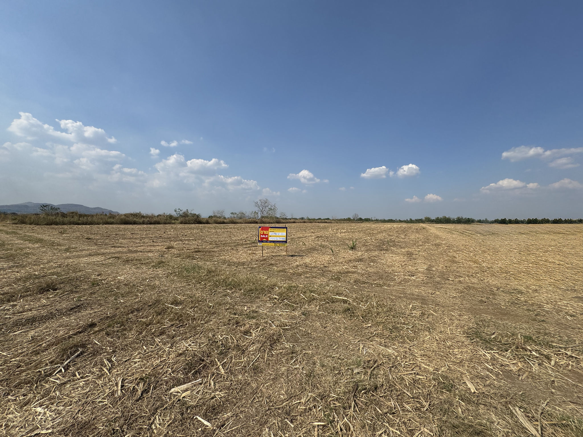 6a598980-29388-2.jpg