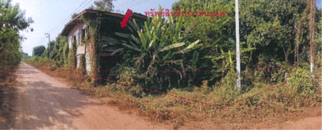 รูปภาพ24.jpg
