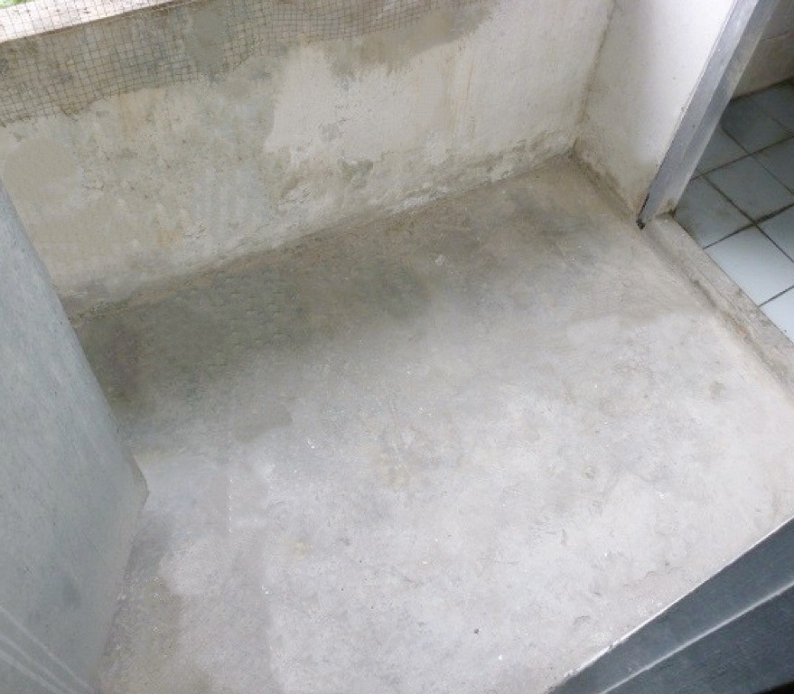 S__55607316.jpg