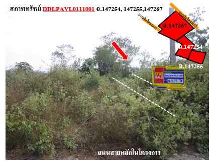 12.สภาพทรัพย์ 3 แปลง DDLPAVL0111.JPG