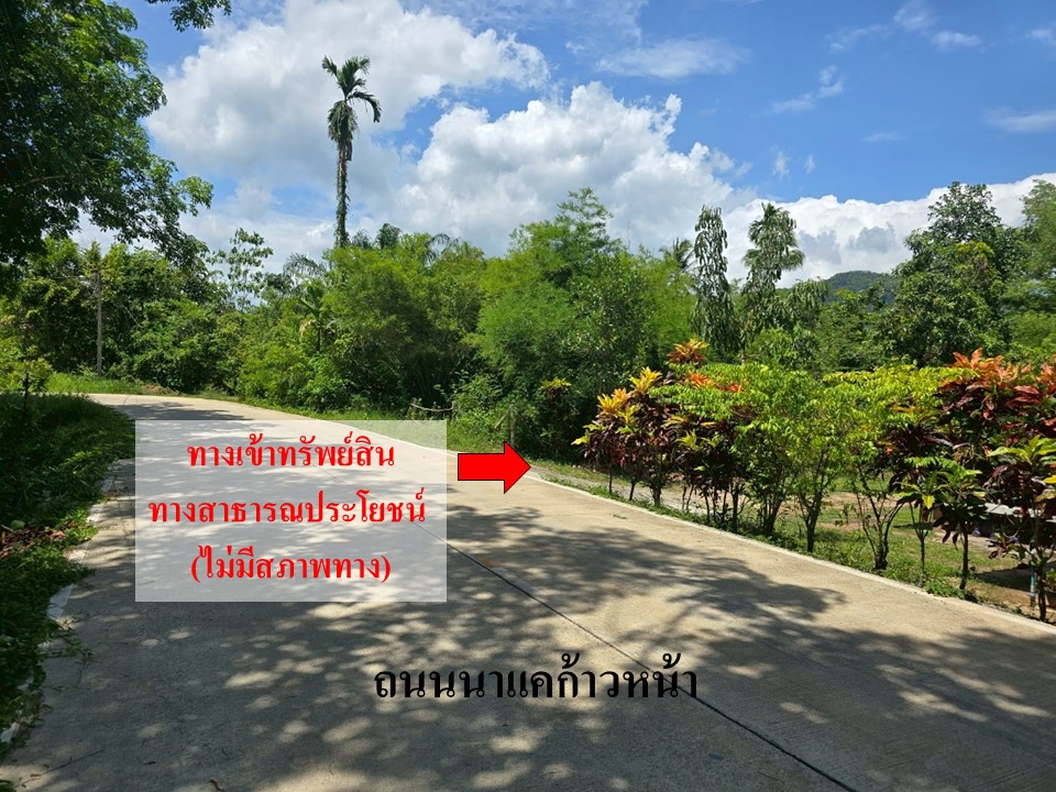 สไลด์3.JPG