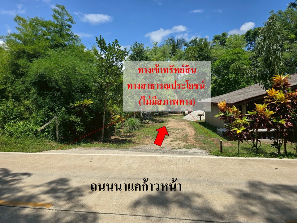 สไลด์4.JPG